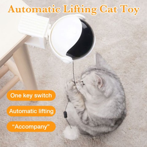 Automatic Lifting Cat Toy